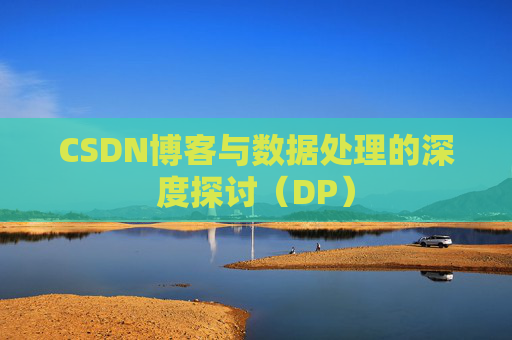 CSDN博客与数据处理的深度探讨（DP）